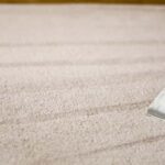 This is a photo of a carpet steam cleaner cleaning a cream carpet works carried out by Belsize Park Carpet Cleaning Solutions